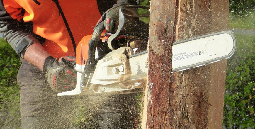 A course on proper chainsaw safety on construction worksites provided by Essential Safety Services.