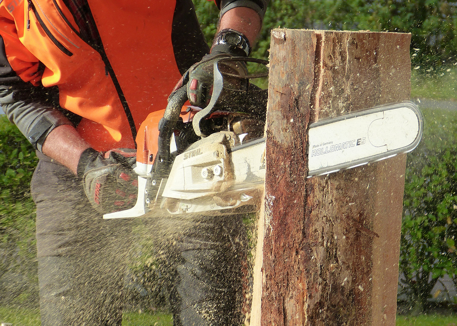 EssentialSafetyServices-Courses-ChainsawSafety