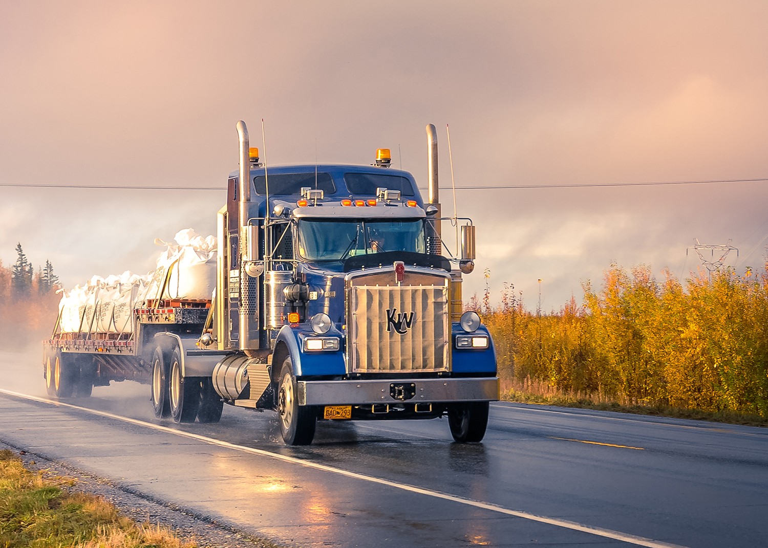 EssentialSafetyServices-Courses-TransportationofDangerousGoodsRefresher